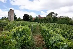 Toulouse-le-Château