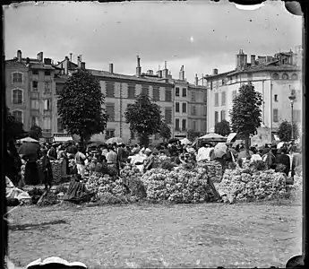 Eugène Trutat, Marché à l'ail 24 août 1899, muséum de Toulouse.