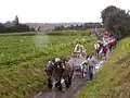 le Tour dans les champs