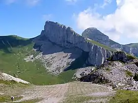 Tour d'Aï depuis la Berneuse.