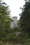 La tour vue depuis le contrebas du rocher de Samois.