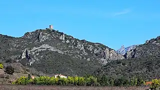 La tour de Trémoine et au loin le château de Quéribus