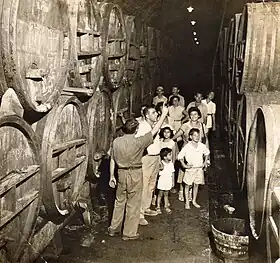 Visite d'un domaine viticole à Zichron Yaakov (1945)