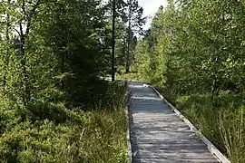 Le chemin de découverte sur pilotis.