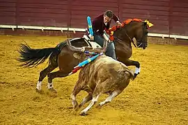 Un cavalier s'apprête à enfoncer une pique dans le cou d'un taureau.