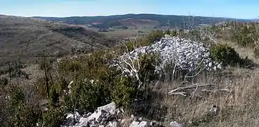 Vue de l'enceinte protohistorique du Tourelle.