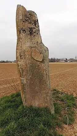 Croix de saint-Jacques.