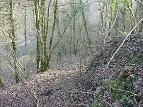 Vue sur les vestiges de la tour vers la Versoix