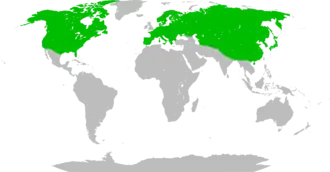 Carte du monde avec larges zones vertes couvrant presque tout l'hémisphère nord.