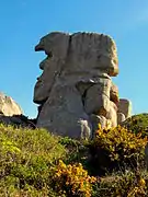 Le père Trébeurden sur le Castel.