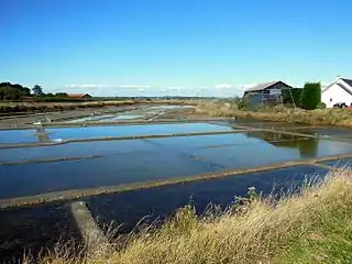 Marais salant en bordure de village