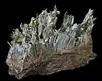 Trémolite asbestiforme 8,2x6,7 cm Vallée d'Aure, Hautes-Pyrénées, France