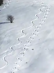 Traces sinueuses dans la neige profonde