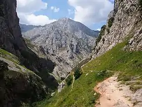 Chemin d'accès à Bulnes depuis Poncebos