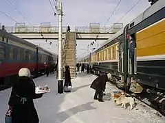Train Rossija de Moscou à Vladivostok et train Sibirjak de Novossibirsk à Moscou en gare de Balézino.