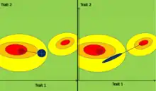 Trajectoire Evolutive