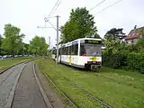 Tram avant l'arrêt du Coq-sur-Mer. La plate-forme du tramway est recouverte de gazon.