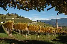 Strada del vino en province de Bolzano.