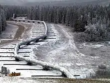 Photo d'une section de l'oléoduc sous la neige, la conduite est posée sur des rails qui lui sont orthogonaux.