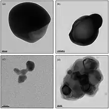 Quatre images obtenues par microscope électronique.