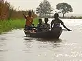 Transport fluvial sur l'île aux oiseaux