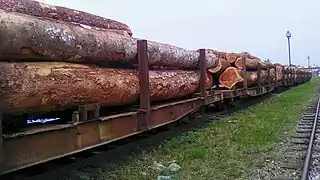 Transport ferroviaire de grumes.