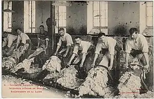 photo noir et blanc d'ouvriers penchés sur des escabeaux sur lesquels sont étendues des peaux de mouton. Ils raclent la laine pour rendre le cuir glabre.
