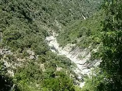 Les gorges du Travo sur la commune de Chisa.