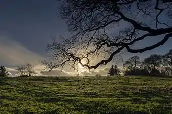 Muiravonside Country Park (en) (Bataille de Prestonpans)