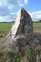 Menhir des Bazinais