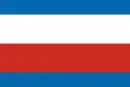 Drapeau de Région de Trenčín