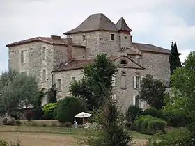 Le château de Laval.