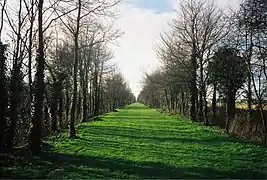 Chemin du Petit Caux