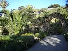 L'arc du mur du monastère médiéval dans les jardins de l'abbaye de Tresco.