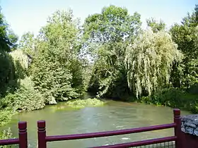 Pont sur l'Ancre, lieu de pêche à Treux