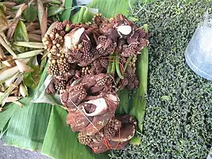 Inflorescences vendues au marché pour être cuisinées, Laos