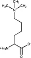 N6,N6,N6-Triméthyl-L-lysine