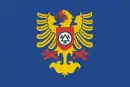 Drapeau de Třinec