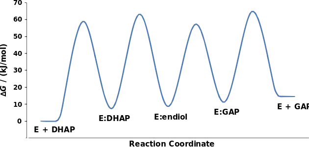 (en) Variations d'enthalpie libre ΔG au cours de la conversion de la dihydroxyacétone phosphate (DHAP) en glycéraldéhyde-3-phosphate (GAP) par la triose-phosphate isomérase (E).
