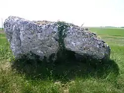 Dolmen du Bourg Neuf.