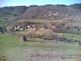 Trnovo (Mrkonjić Grad)