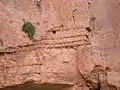 Habitation troglodyte à même la paroi de la falaise à Maafa.