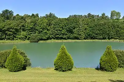 Le grand étang.