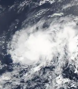Image satellite de la dépression tropicale Dix, prise le 13 août 2005.