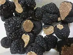 Truffes de Bourgogne (Tuber uncinatum).