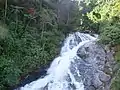 Cascade de  Đắk Chè.