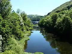 La Truyère en aval du barrage (visible au fond).