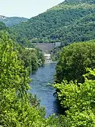 La Truyère à l'aval du barrage.