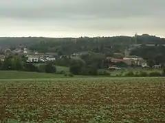 Vue panoramique de Tucquegnieux village.