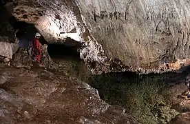 Grotte de la Médecine creusée dans les travertins déposés par la source de la Mère de Dieu, causse Rouge, Verrières, Aveyron, France.